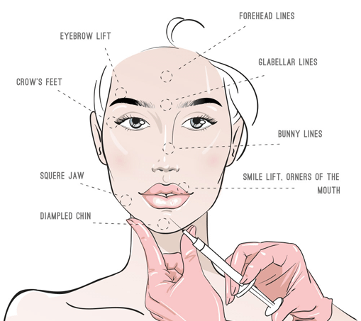 introduction image